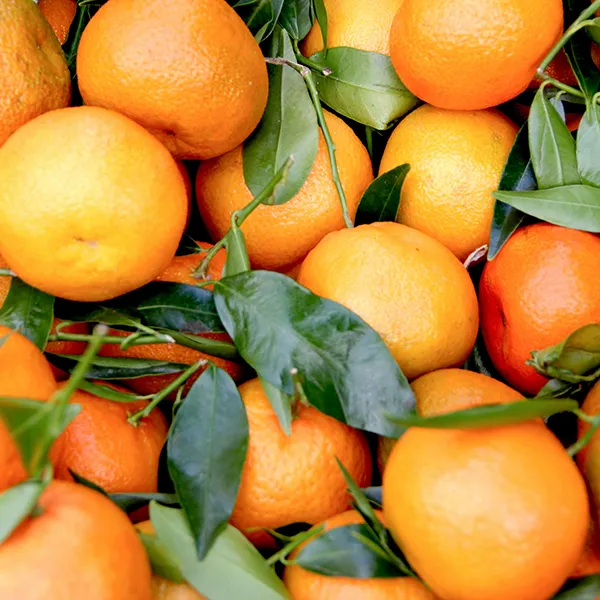 Mandarine