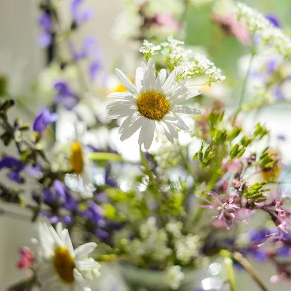 Blumenbouquet