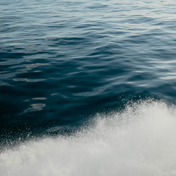 Meer
