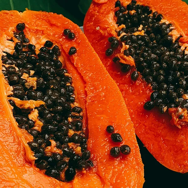 Papaya